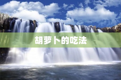 胡萝卜的吃法:多样化美味,健康保障
