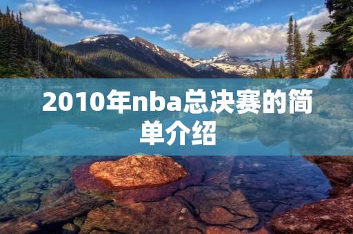 2010年nba总决赛的简单介绍