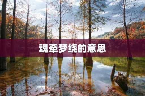 魂牵梦绕的意思:迷恋于心灵深处的情感纠葛