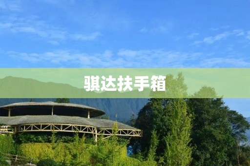 骐达扶手箱:为你的座驾增添便利与舒适 骐达扶手箱:为你的座驾增添便利与舒适