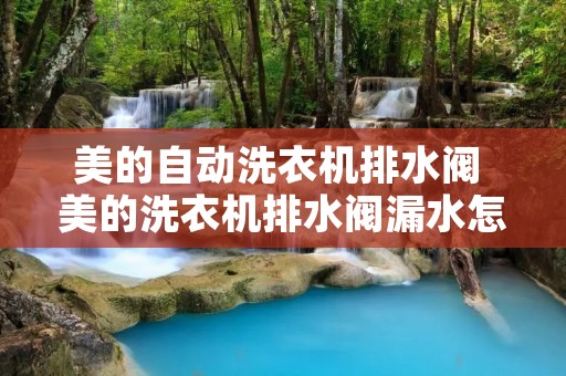 美的自动洗衣机排水阀 美的洗衣机排水阀漏水怎么办