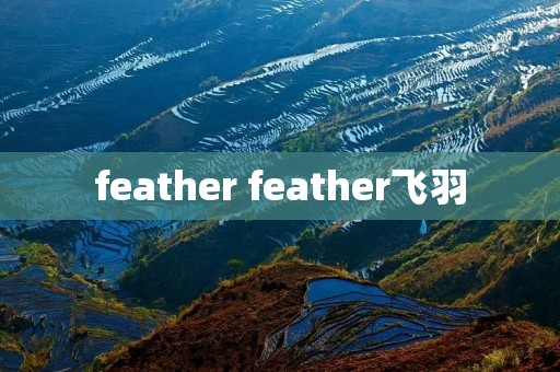 feather feather飞羽