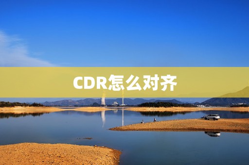 CDR怎么对齐:实现有效的对齐策略
