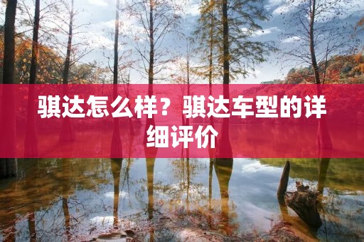 骐达怎么样?骐达车型的详细评价 骐达怎么样?骐达车型的详细评价