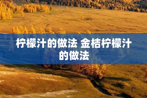 柠檬汁的做法 金桔柠檬汁的做法 柠檬汁的做法 金桔柠檬汁的做法