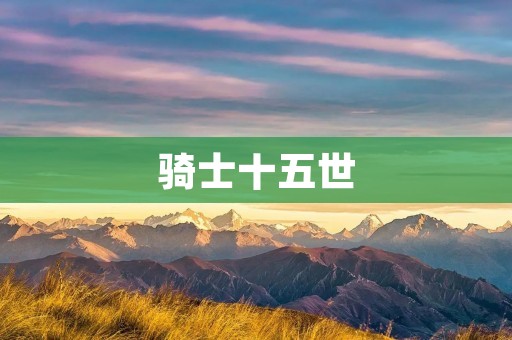 骑士十五世:勇者与传奇 骑士十五世:勇者与传奇