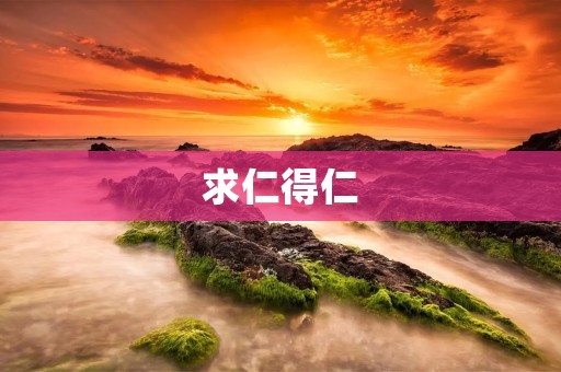 求仁得仁:探寻仁德之道