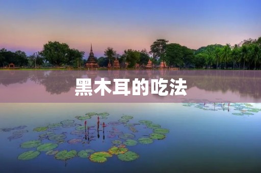 黑木耳的吃法：探索美味与营养的多样性