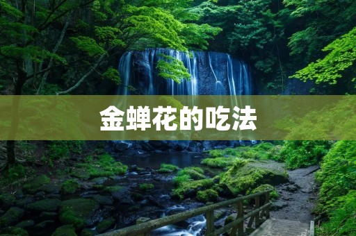 金蝉花的吃法：探寻美味与营养的新境界