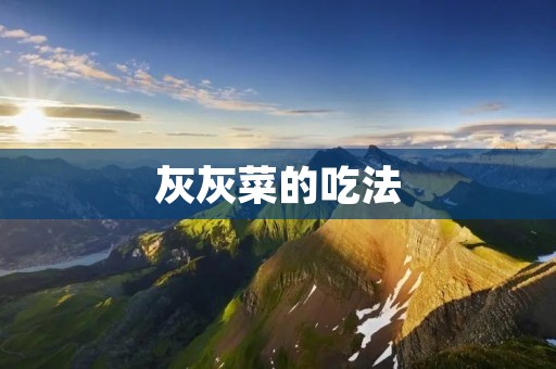 灰灰菜的吃法：让你的餐桌多一份清新