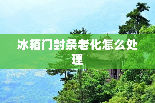 冰箱门封条老化怎么处理