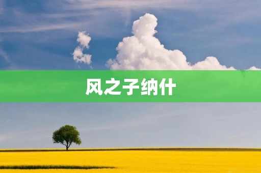 风之子纳什:风与自由的象征 风之子纳什:风与自由的象征