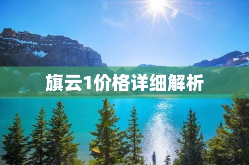 旗云1价格详细解析