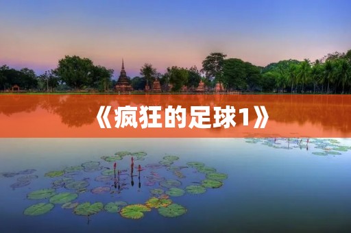 《疯狂的足球1》:足球世界的疯狂旋风 《疯狂的足球1》:足球世界的疯狂旋风