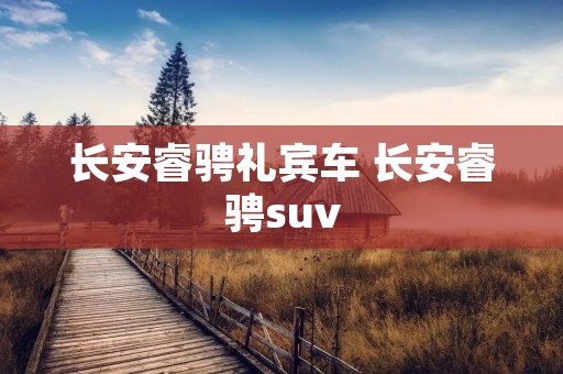 长安睿骋礼宾车 长安睿骋suv