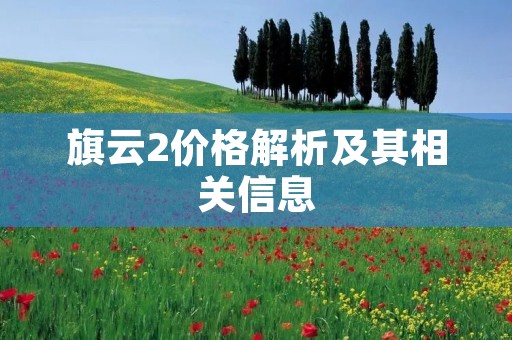 旗云2价格解析及其相关信息 旗云2价格解析及其相关信息
