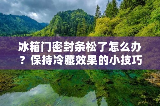 冰箱门密封条松了怎么办?保持冷藏效果的小技巧 冰箱门密封条松了怎么办?保持冷藏效果的小技巧