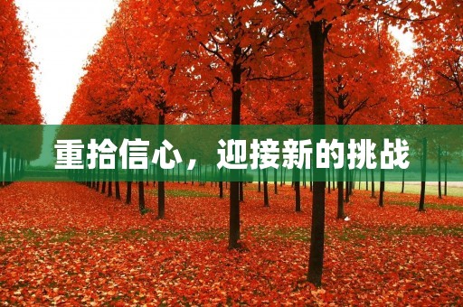 重拾信心,迎接新的挑战