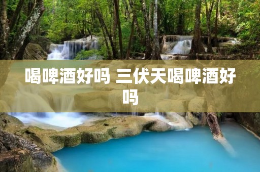 喝啤酒好吗 三伏天喝啤酒好吗 喝啤酒好吗 三伏天喝啤酒好吗