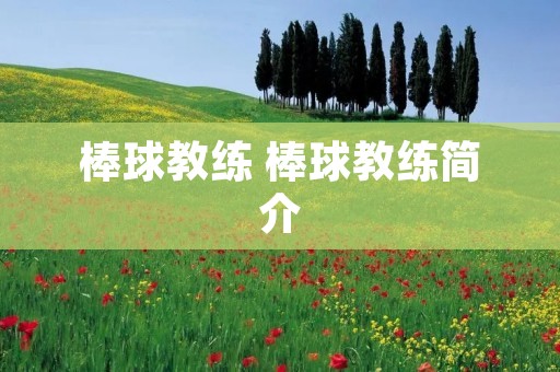 棒球教练 棒球教练简介