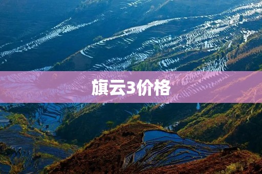旗云3价格：实惠的选择