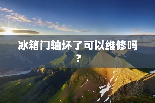冰箱门轴坏了可以维修吗？