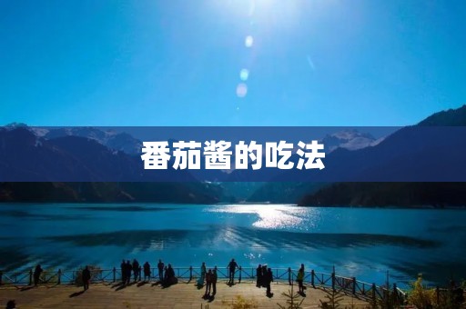 番茄酱的吃法:解锁美食的多种可能性
