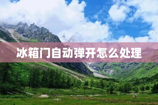 冰箱门自动弹开怎么处理 冰箱门自动弹开怎么处理