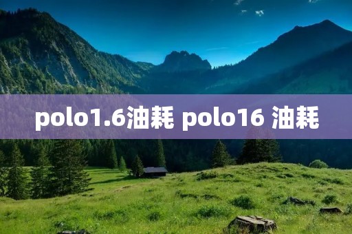 polo1.6油耗 polo16 油耗 polo1.6油耗 polo16 油耗