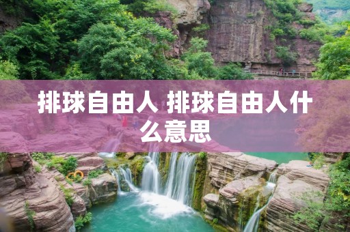 排球自由人 排球自由人什么意思 排球自由人 排球自由人什么意思