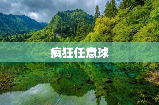 疯狂任意球:探索足球世界的无限可能 疯狂任意球:探索足球世界的无限可能