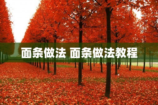 面条做法 面条做法教程