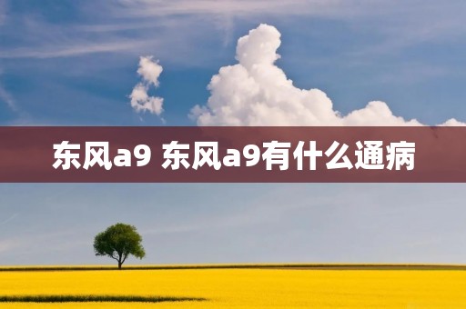 东风a9 东风a9有什么通病