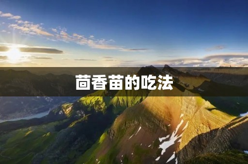 茴香苗的吃法