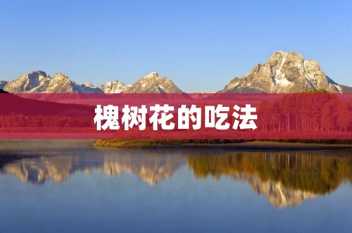 槐树花的吃法:探索花草美食的新领域