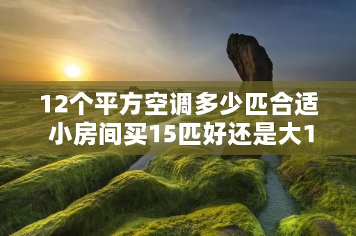 12个平方空调多少匹合适 小房间买15匹好还是大1匹好
