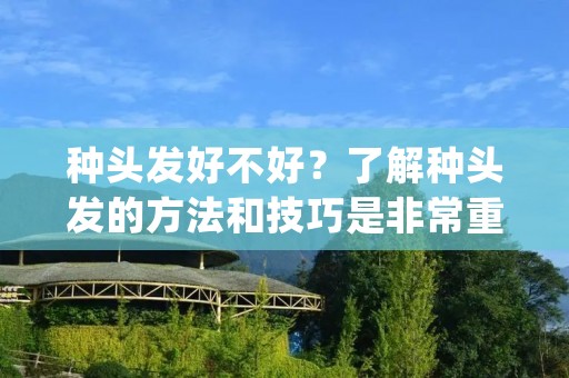 种头发好不好?了解种头发的方法和技巧是非常重要的。在这篇文章中,我将为您详细介绍种头发的好处以及如何选择适合您的发型。从而帮助您更好地了解种头发的重要性。