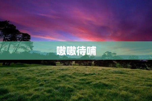 嗷嗷待哺:中国传统教育中的问题与挑战
