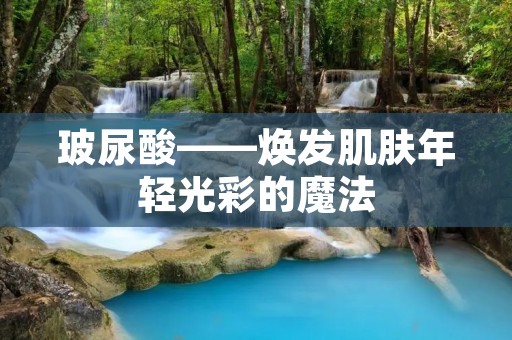 玻尿酸——焕发肌肤年轻光彩的魔法