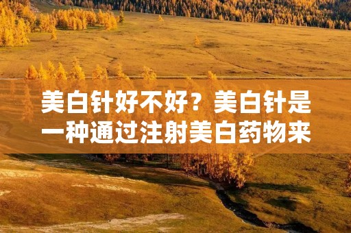 美白针好不好？美白针是一种通过注射美白药物来改善皮肤肤色的美容方法。近年来，随着人们对美白需求的增加，美白针在美容市场上越来越受到关注。然而，对于美白针的效果和安全性，人们的意见褒贬不一。本文将从多个角度探讨美白针的优势和劣势，以帮助读者更好地了解美白针的真实情况。