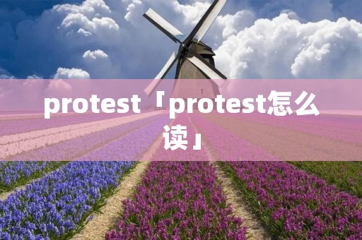 protest「protest怎么读」