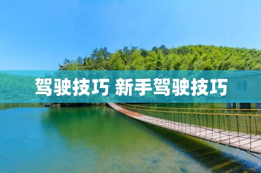 驾驶技巧 新手驾驶技巧