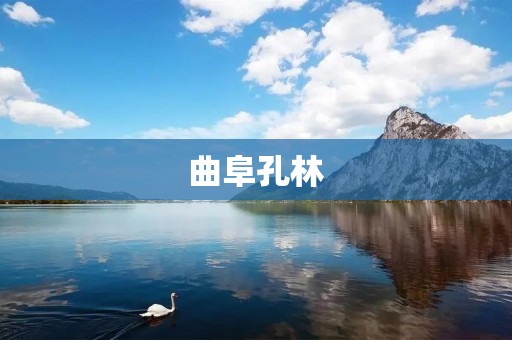 曲阜孔林:文化遗产中的圣地