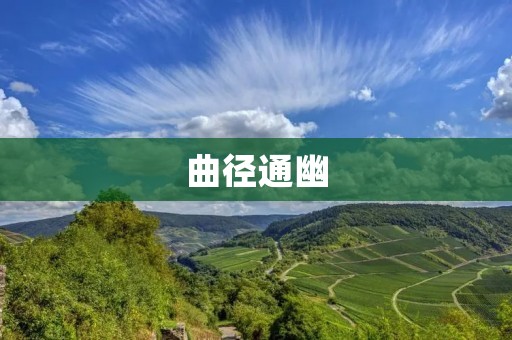 曲径通幽:一场心灵的穿越之旅