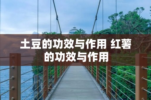 土豆的功效与作用 红薯的功效与作用