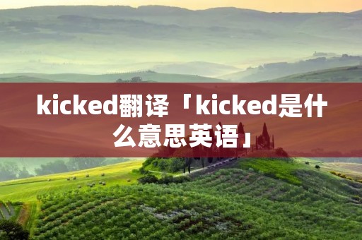 kicked翻译「kicked是什么意思英语」