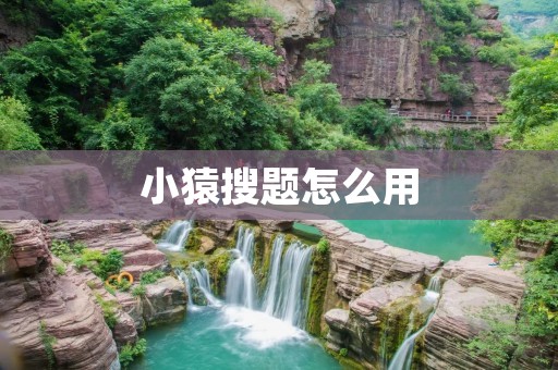 小猿搜题怎么用：帮你快速解决学习问题的利器