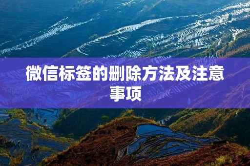 微信标签的删除方法及注意事项