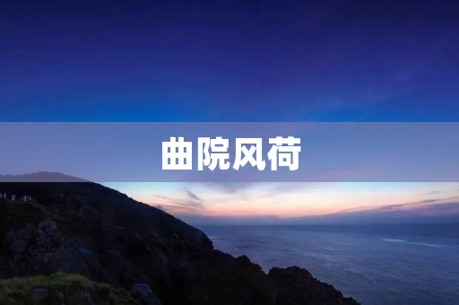 曲院风荷:一场美丽的盛宴