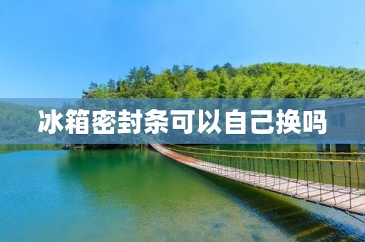 冰箱密封条可以自己换吗 冰箱密封条可以自己换吗